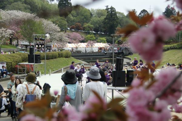 『『1_桜』の画像』の画像