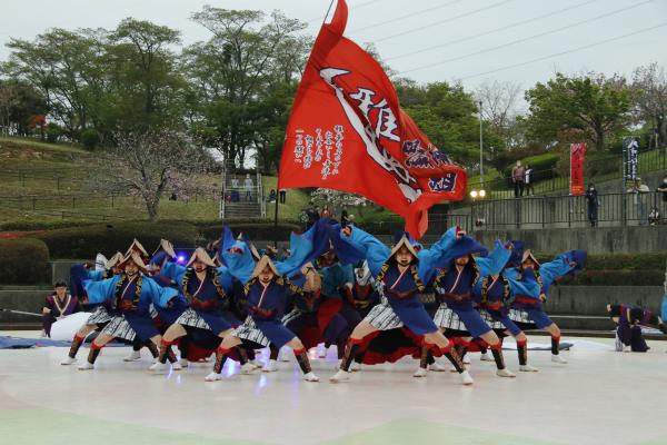 『4_よさこい』の画像