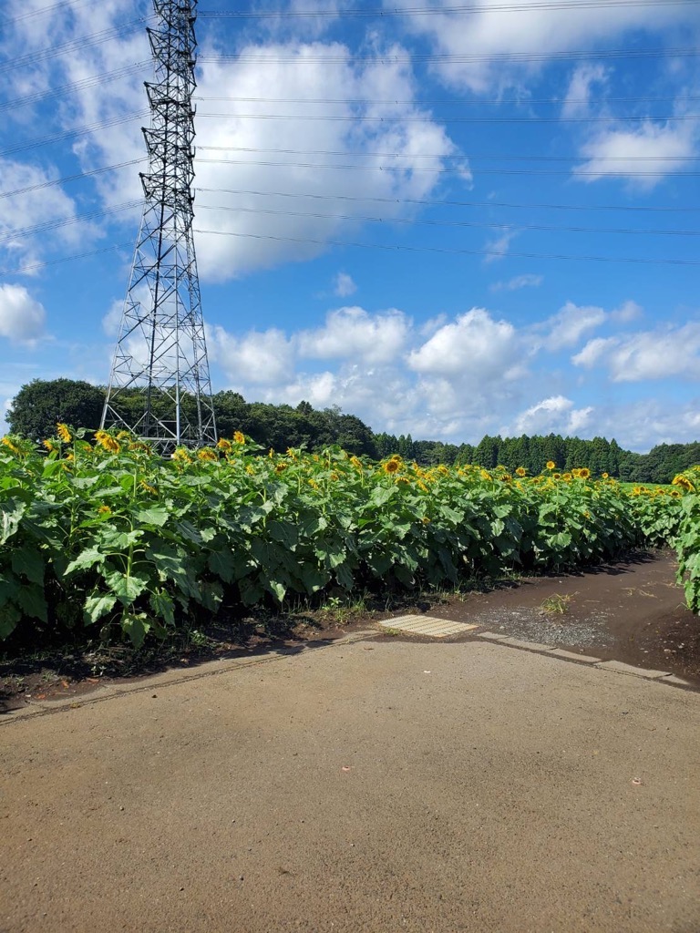 『9.2池付近』の画像